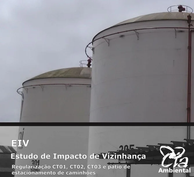 Audiência Pública Cattalini Terminais Marítimos S.A.