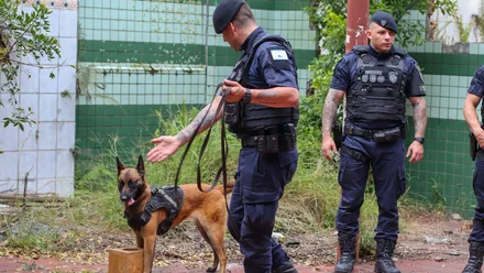Imagem da galeria da noticia