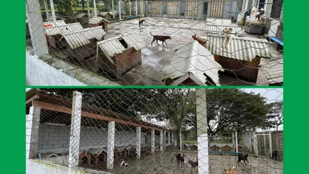 Imagem da galeria da noticia