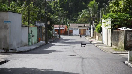 Imagem da galeria da noticia