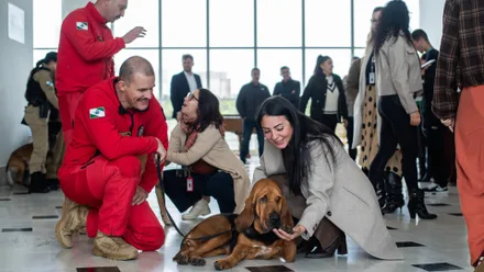 Imagem da galeria da noticia