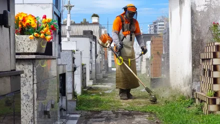 Imagem da galeria da noticia