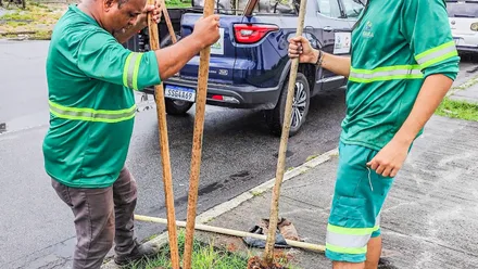 Imagem da galeria da noticia