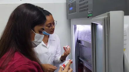 Imagem da galeria da noticia