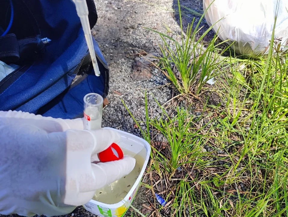 Mutirão: população é orientada sobre como evitar a dengue