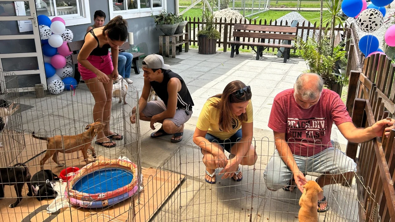 Amigo Fiel: Feira de Animais foi um grande sucesso no último sábado (22)