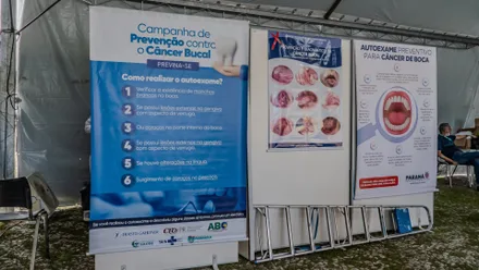 Imagem da galeria da noticia