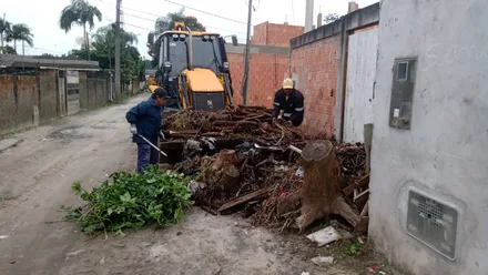 Imagem da galeria da noticia
