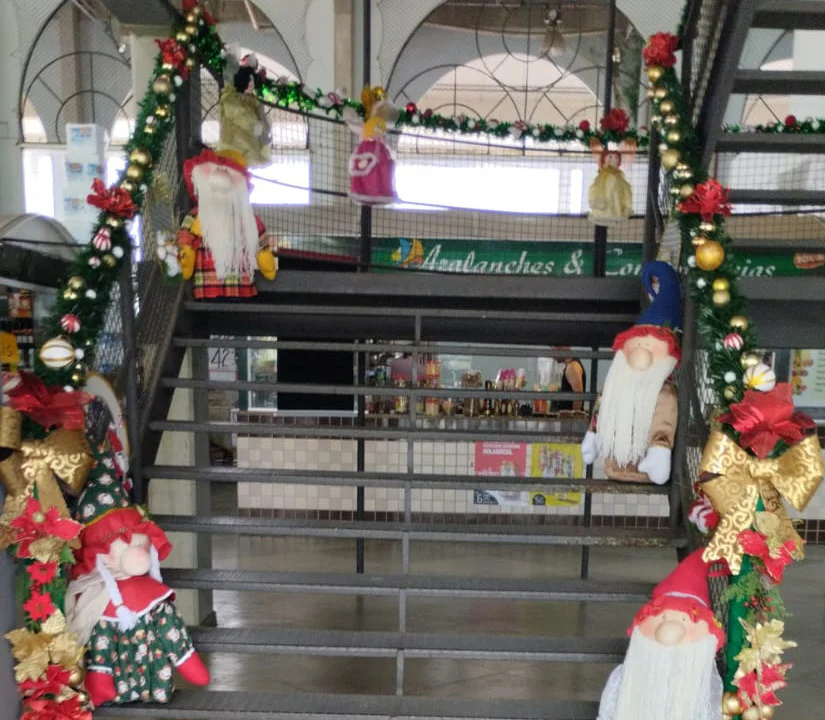 Provopar faz decoração natalina para receber visitantes